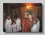 IMG_4649 (Medium)